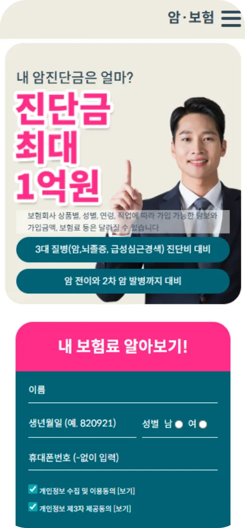 암보험 사이트